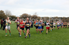 Senior mens Sherman Cup and Davison Shield, Temple Park, South Shields. Photo:  David T. Hewitson/Sports for All Pics
